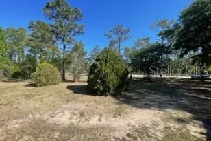 14050 SE 20 St, Morriston, FL 32668 - Photo 21