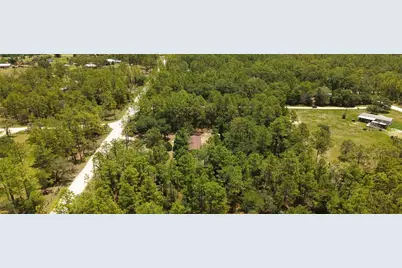 14050 SE 20 Street, Morriston, FL 32668 - Photo 29