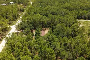 14050 SE 20 St, Morriston, FL 32668 - Photo 29