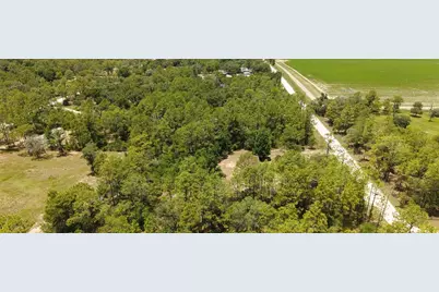 14050 SE 20 Street, Morriston, FL 32668 - Photo 27