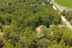 14050 SE 20 St, Morriston, FL 32668 - Photo 27