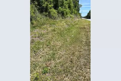 00 W Hwy 40, Lot 11, Ocala, FL 34481 - Photo 5