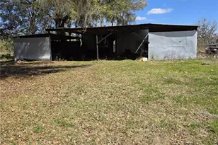 5950 NE Hwy 41, Williston, FL 32696 - Photo 9