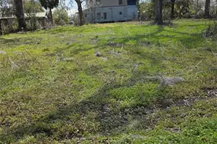 5950 NE Hwy 41, Williston, FL 32696 - Photo 13