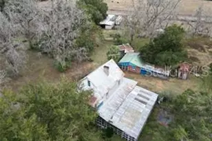5950 NE Hwy 41, Williston, FL 32696 - Photo 15