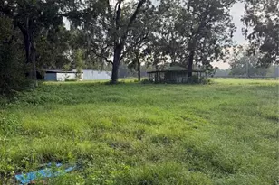 5950 NE Hwy 41, Williston, FL 32696 - Photo 29