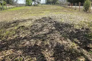 5950 NE Hwy 41, Williston, FL 32696 - Photo 21