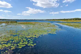 9947 SE 117th Street Rd, Belleview, FL 34420 - Photo 39