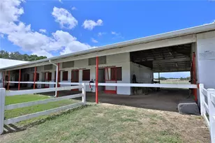 4450 SE 216 Ave, Morriston, FL 32668 - Photo 53