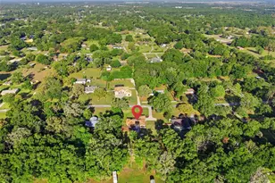 10165 SW 65th Terrace, Ocala, FL 34476 - Photo 53