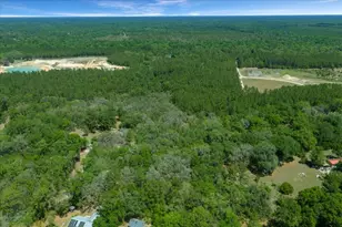 7808 NE 75th St, Gainesville, FL 32609 - Photo 83