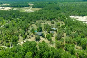 7808 NE 75th St, Gainesville, FL 32609 - Photo 79