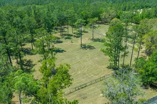 7808 NE 75th St, Gainesville, FL 32609 - Photo 75
