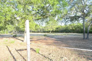 591 SE Fisher Rd, Ocklawaha, FL 32179 - Photo 13