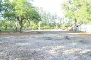 591 SE Fisher Rd, Ocklawaha, FL 32179 - Photo 5
