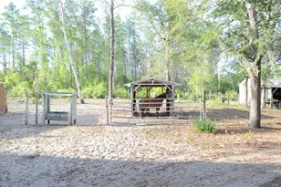 591 SE Fisher Rd, Ocklawaha, FL 32179 - Photo 9