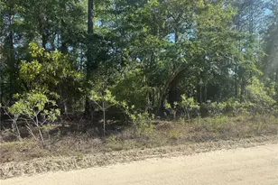 0000 SW 8th Pl, Ocala, FL 34481 - Photo 1
