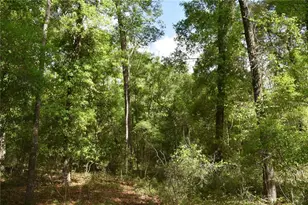 1859 NE 46th Cir, High Springs, FL 32643 - Photo 31