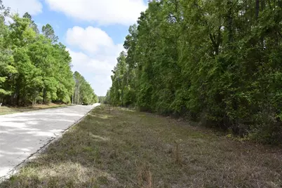 1859 NE 46th Circle, High Springs, FL 32643 - Photo 5