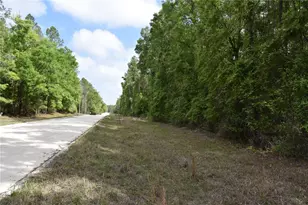 1859 NE 46th Cir, High Springs, FL 32643 - Photo 5