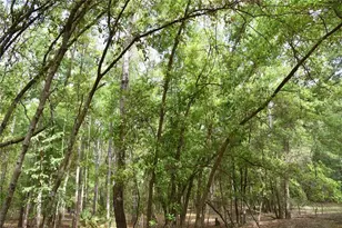 1859 NE 46th Cir, High Springs, FL 32643 - Photo 41