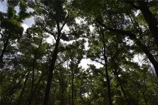 1859 NE 46th Cir, High Springs, FL 32643 - Photo 29