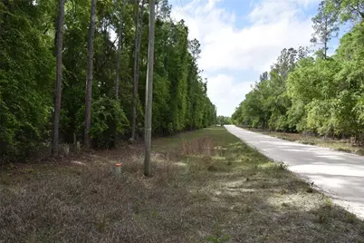 1859 NE 46th Circle, High Springs, FL 32643 - Photo 37