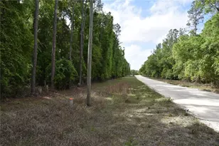1859 NE 46th Cir, High Springs, FL 32643 - Photo 37