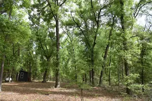 1859 NE 46th Cir, High Springs, FL 32643 - Photo 33