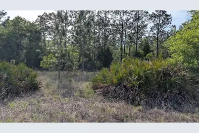 Lot 88 SW 152 Nd Court, Ocala, FL 34481 - Photo 7