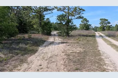 Lot 88 SW 152 Nd Court, Ocala, FL 34481 - Photo 5