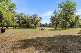 [Address not provided], Citra, FL 32113 - Photo 49