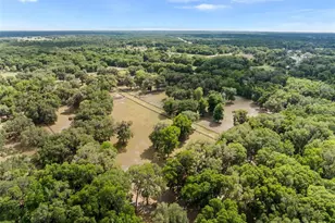 17995 NE 24th Terrace, Citra, FL 32113 - Photo 49