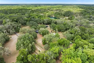 [Address not provided], Citra, FL 32113 - Photo 47
