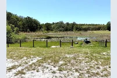 9711 SE Highway 464C, Ocklawaha, FL 32179 - Photo 67