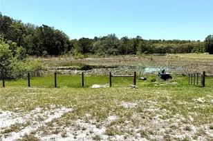 9711 SE Hwy 464C, Ocklawaha, FL 32179 - Photo 67