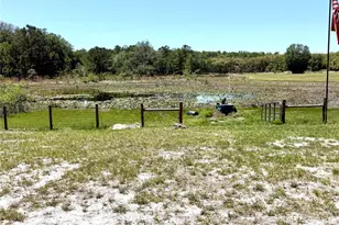 9711 SE Hwy 464C, Ocklawaha, FL 32179 - Photo 67