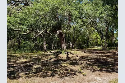 9711 SE Highway 464C, Ocklawaha, FL 32179 - Photo 55
