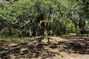 9711 SE Hwy 464C, Ocklawaha, FL 32179 - Photo 55