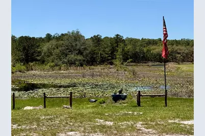9711 SE Highway 464C, Ocklawaha, FL 32179 - Photo 63