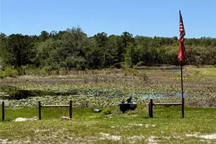 9711 SE Hwy 464C, Ocklawaha, FL 32179 - Photo 63