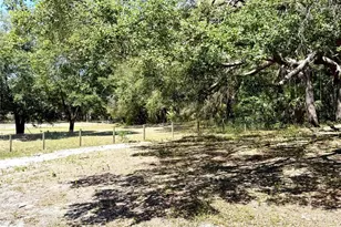 9711 SE Hwy 464C, Ocklawaha, FL 32179 - Photo 55