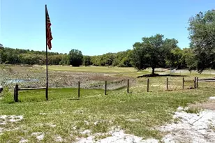 9711 SE Hwy 464C, Ocklawaha, FL 32179 - Photo 53
