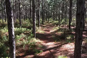 1069 SE 57th Ave, Ocala, FL 34480 - Photo 57