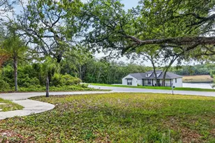 40248 Orange Cir, Lady Lake, FL 32159 - Photo 29