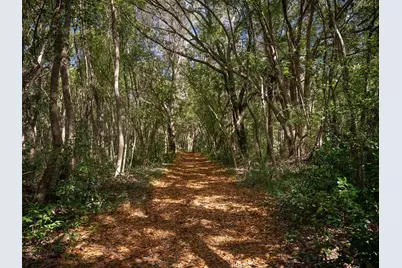 12495 SE Sunset Harbor Road, Weirsdale, FL 32195 - Photo 33