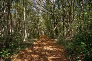 12495 SE Sunset Harbor Rd, Weirsdale, FL 32195 - Photo 33