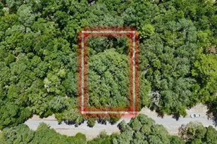 Tbd Fisher Ln Dr, Ocklawaha, FL 32179 - Photo 1