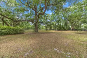 9175 SE 7th Avenue Rd, Ocala, FL 34480 - Photo 53
