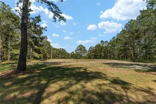 15120 SE 85th St, Ocklawaha, FL 32179 - Photo 47